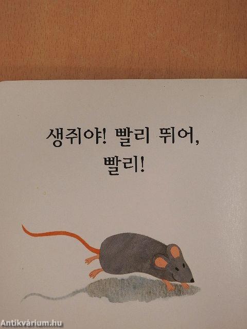 Fuss, egér, fuss! (koreai nyelvű)