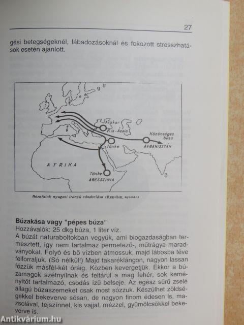 Bevezetés a gabonakonyhába