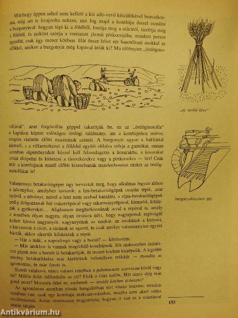 A mezők titkai