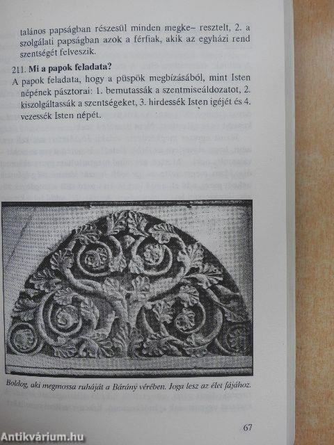 Szeretetre születtünk