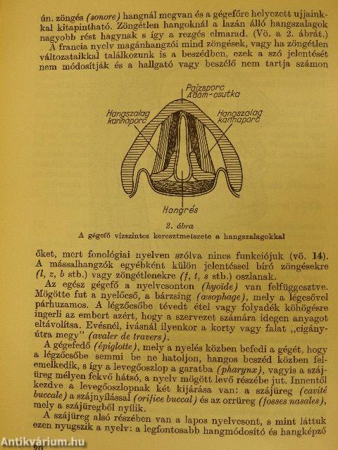 Mai francia nyelvtan (Dr. Castiglione László könyvtárából)