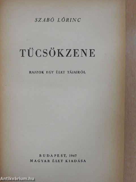 Tücsökzene