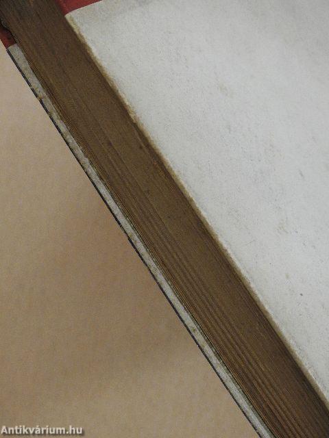 Julika és az ötödik osztály