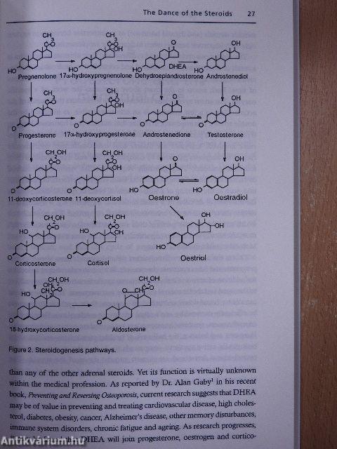 Natural Progesterone