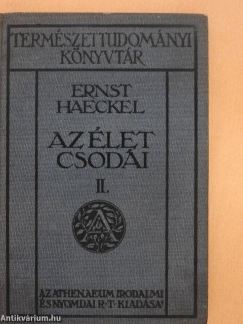 Az élet csodái II. (töredék)