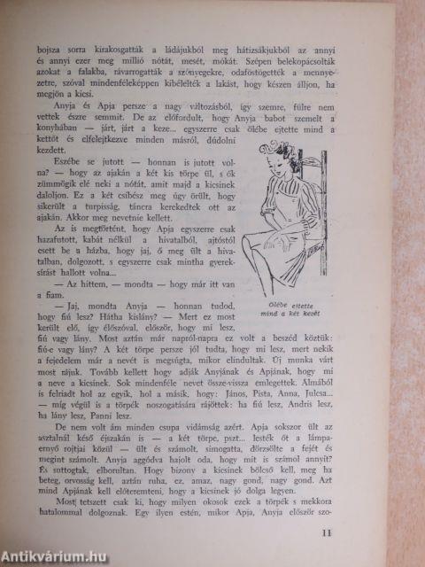 Kököjszi és Bobojsza