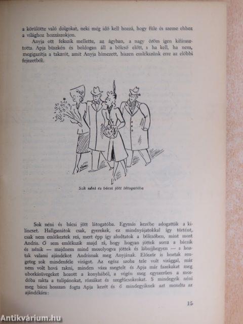 Kököjszi és Bobojsza