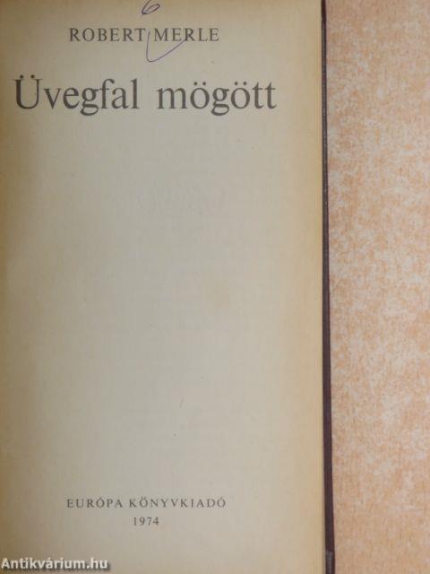 Üvegfal mögött