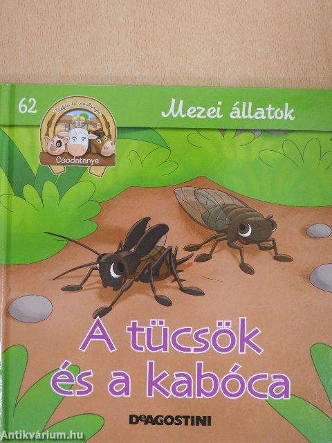 A tücsök és a kabóca