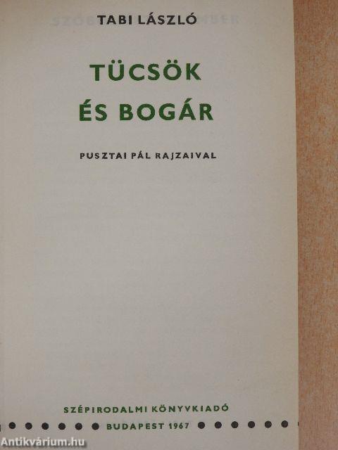 Tücsök és bogár