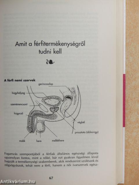 Gyereket szeretnénk