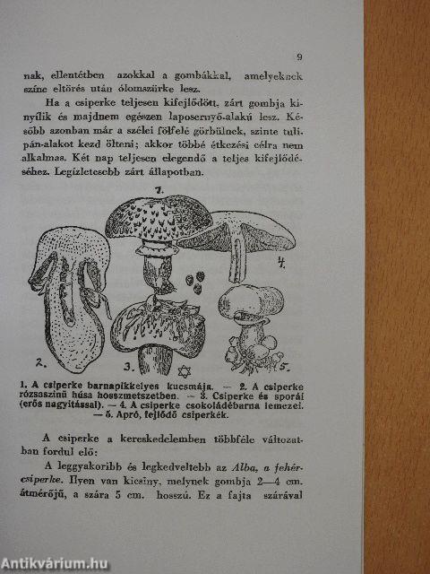 A csiperkegomba tenyésztése