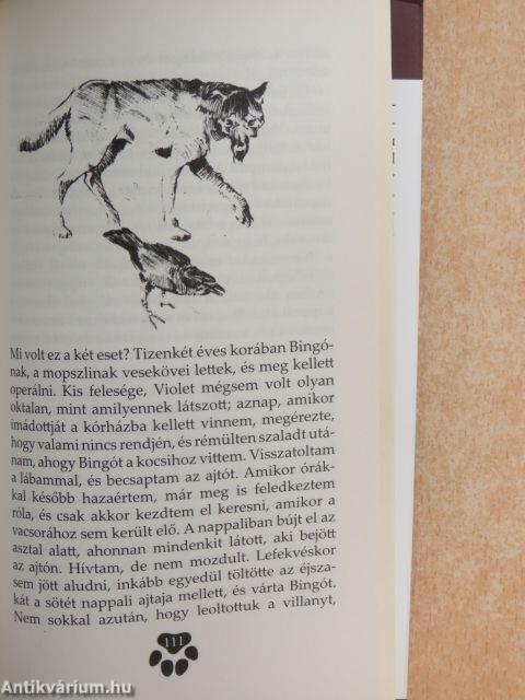 A kutya lelki élete