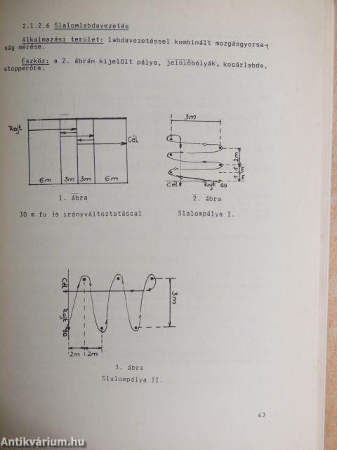 A Magyar Testnevelési Egyetem közleményei 1991/1.