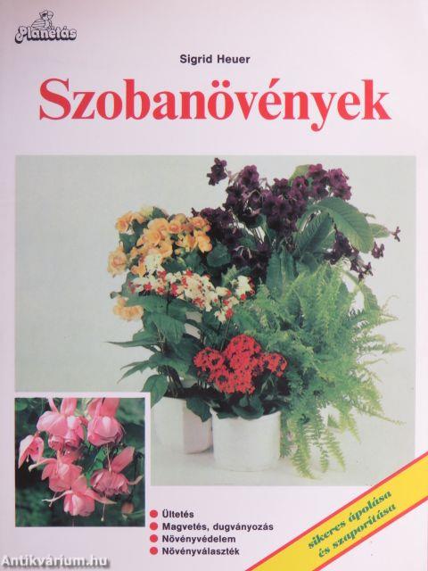 Szobanövények