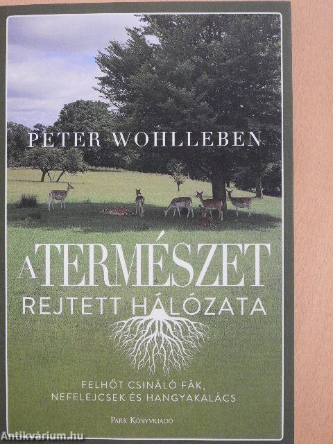 A természet rejtett hálózata