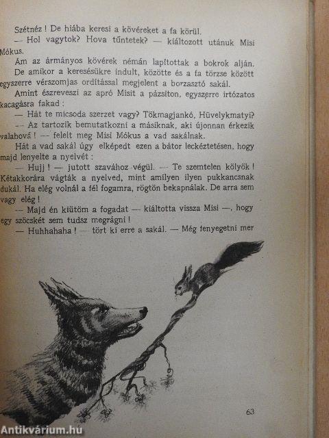 Misi Mókus kalandjai