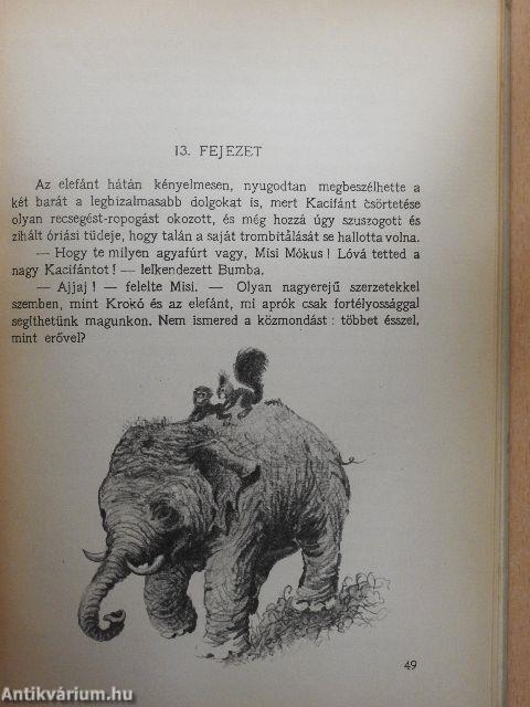 Misi Mókus kalandjai