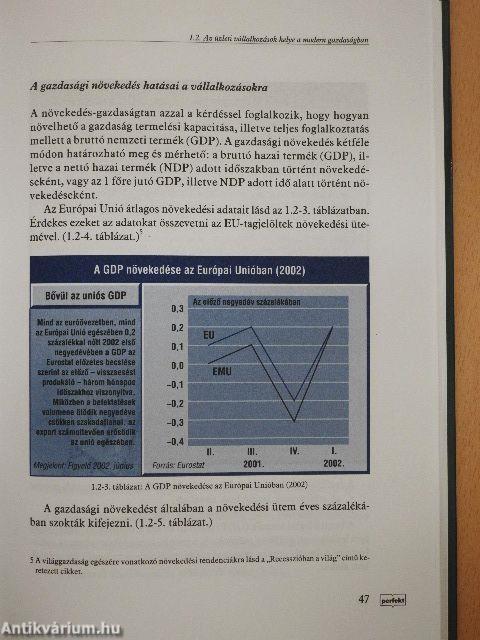 Vállalkozások gazdaságtana