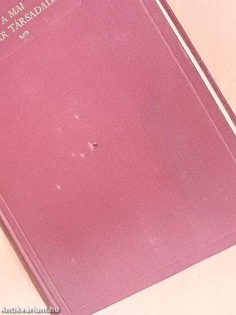 A mai magyar társadalom