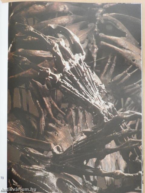 Szervátiusz Tibor (dedikált példány)