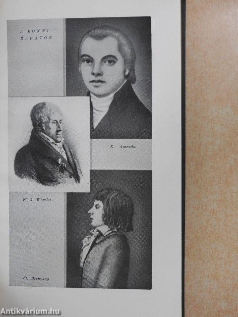 Beethoven élete leveleiben