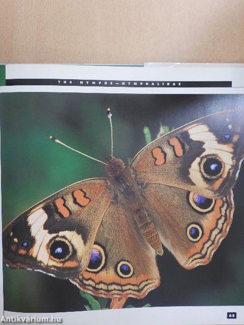 Butterfly Gardening