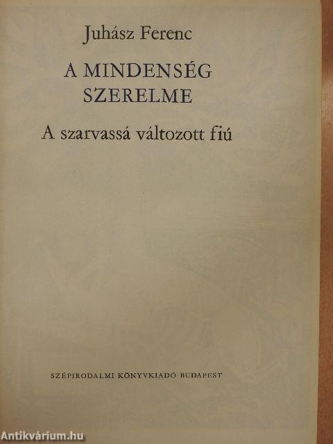 A mindenség szerelme