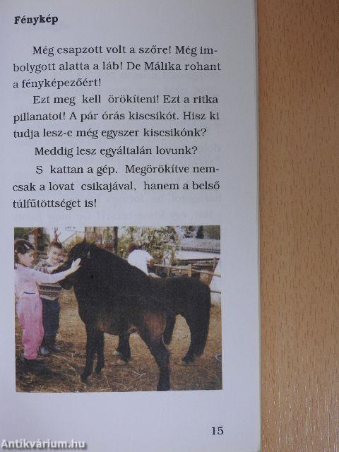 Lovak és más egypercesek