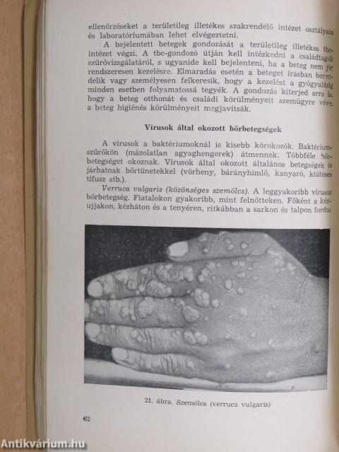 Bőrgyógyászat, szemészet, fül-, orr-, gégegyógyászat