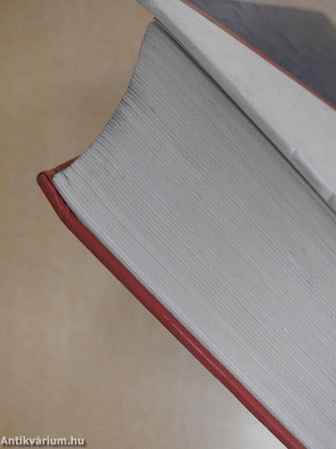 Francia-magyar kéziszótár