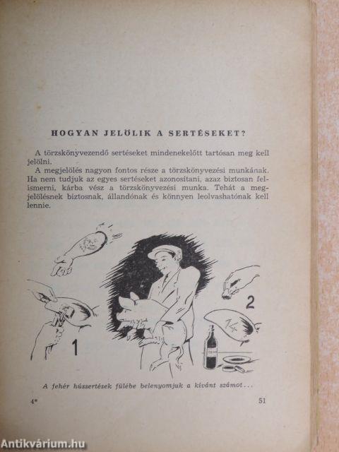 Vidám rajzos sertéstenyésztés