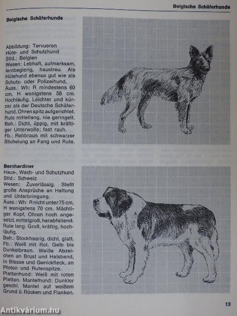 Hunde-Lexikon