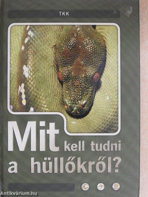 Mit kell tudni a hüllőkről?