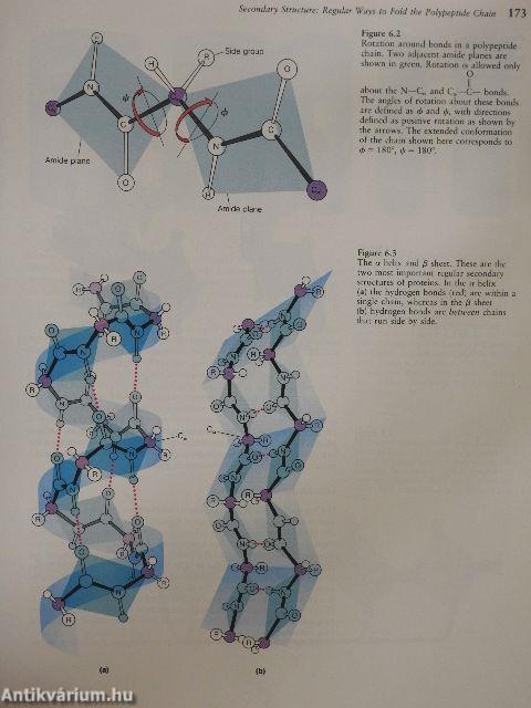 Biochemistry