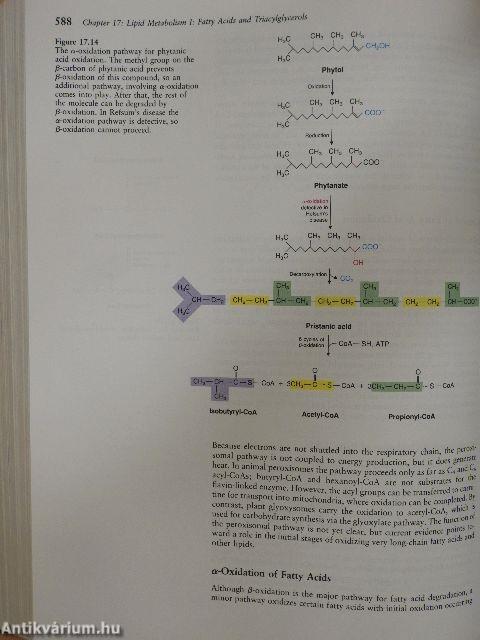 Biochemistry