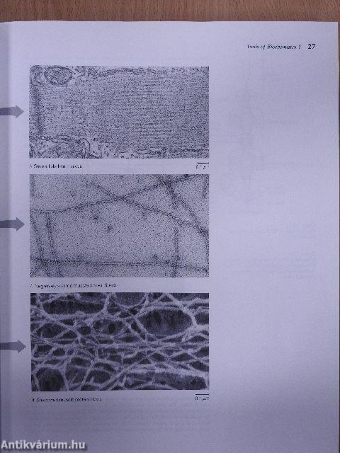 Biochemistry