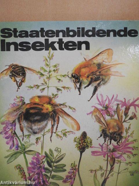 Staatenbildende Insekten