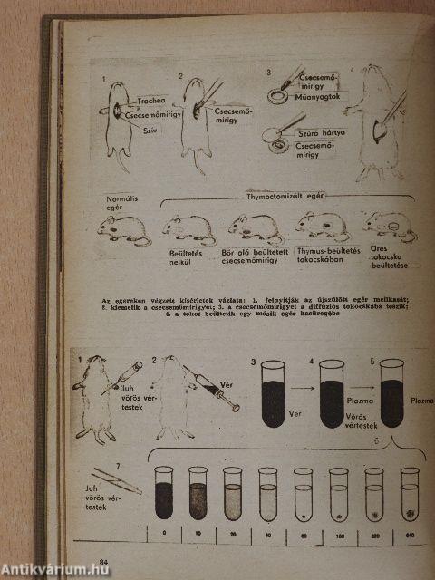 Univerzum 1965/1-6. (fél évfolyam)