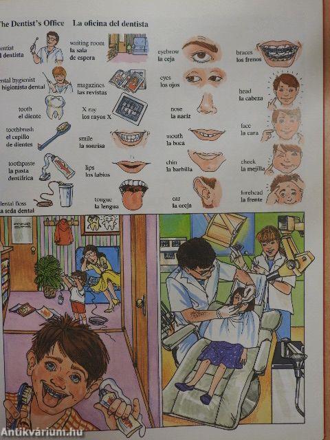 Spanish picture dictionary