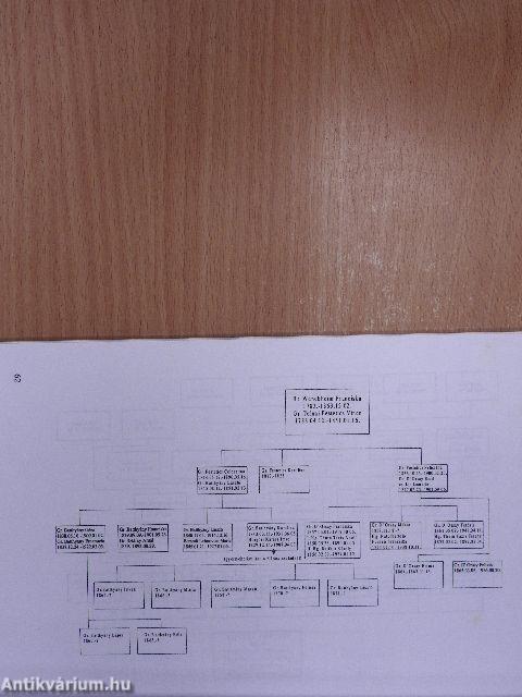 A Wenckheim család és leszármazottai