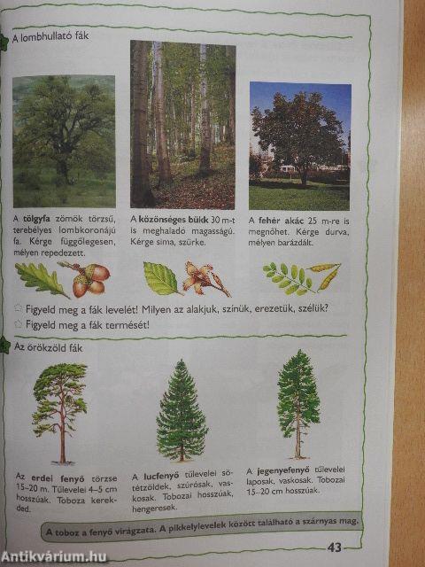 Természet- és társadalomismeret 2.