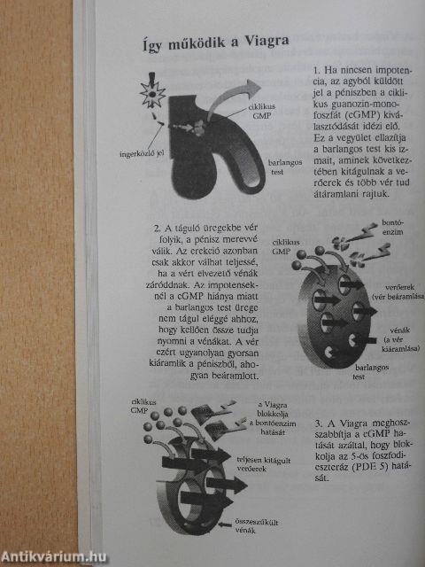 Viagra a kék csoda