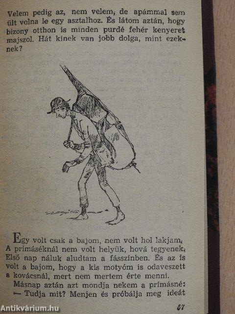 Kakuk Marci ifjúsága