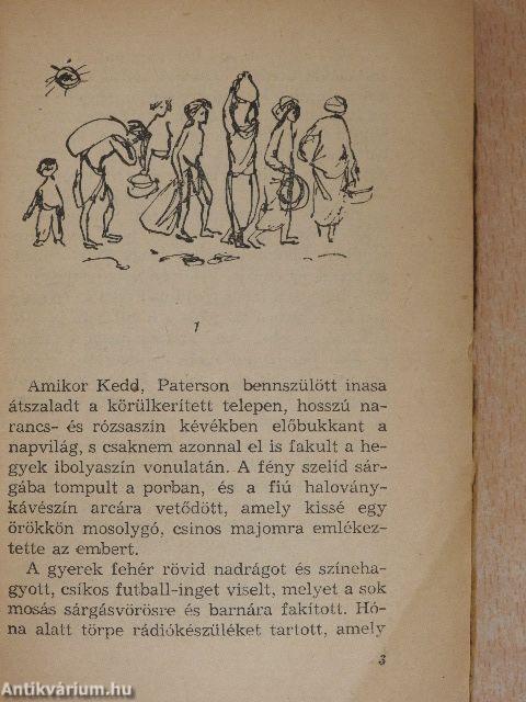 A jacaranda-fa I-II.