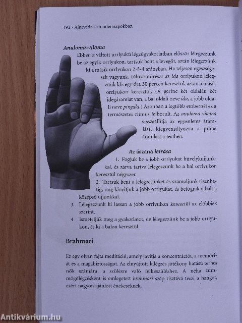 Ájurvéda a mindennapokban