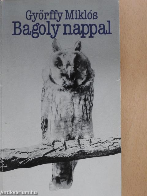 Bagoly nappal (dedikált példány)