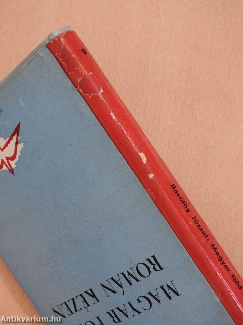 Magyar föld román kézen