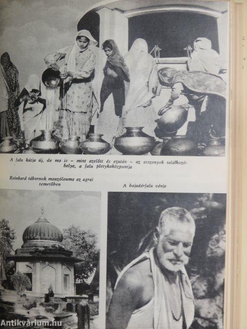 India felszárítja könnyeit