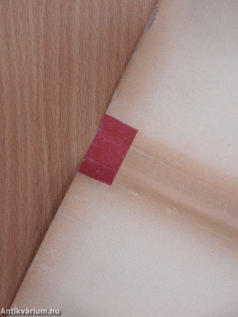 Magyar föld román kézen